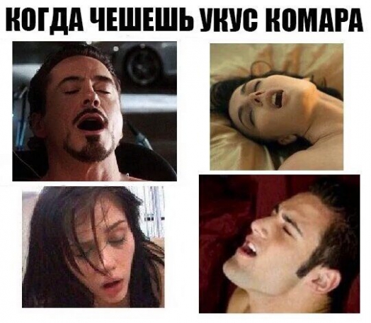 Когда чешешь укус комара