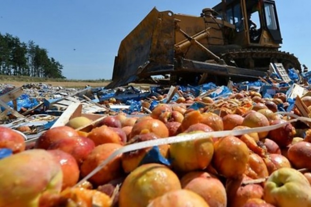 Президент РФ продлил продуктовое эмбарго, несмотря на недовольство россиян